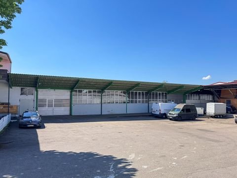 Reutlingen Halle, Reutlingen Hallenfläche