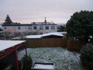 Aussicht in den Garten