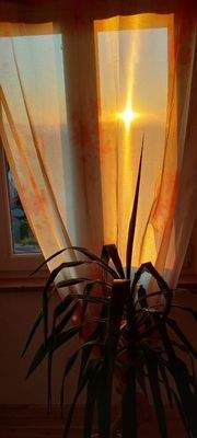 9d65fb1c-0474-41ee-be16-78813448dccb