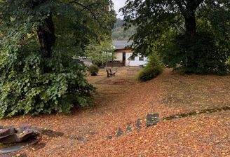 IMG_7891.jpeg