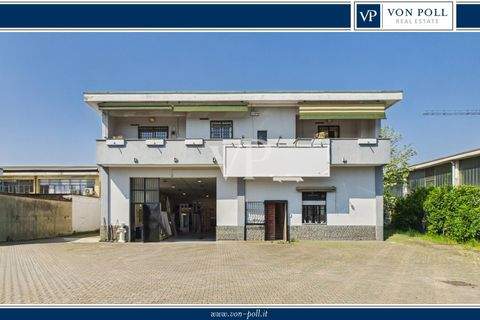 Assago Halle, Assago Hallenfläche