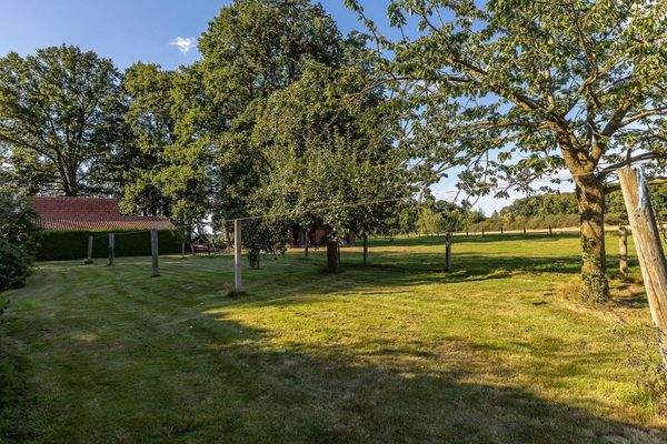 Garten in Nordasrichtung