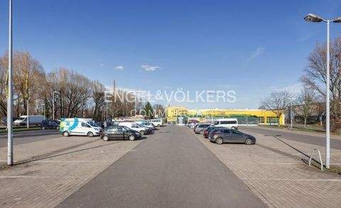 Berlin Halle, Berlin Hallenfläche