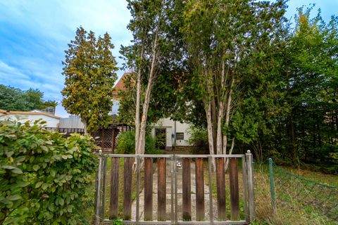 Altenburg Häuser, Altenburg Haus kaufen