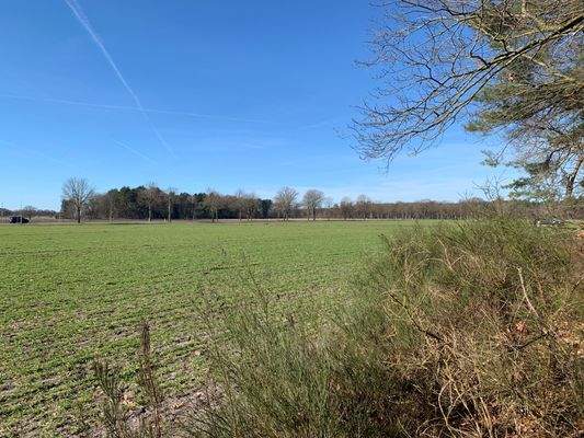 Planung ? Wir sind da! FreieImmo24