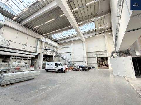 Markgröningen Halle, Markgröningen Hallenfläche