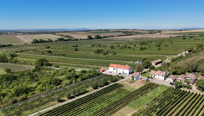 Snímek obrazovky 2025-11-06 151212.png