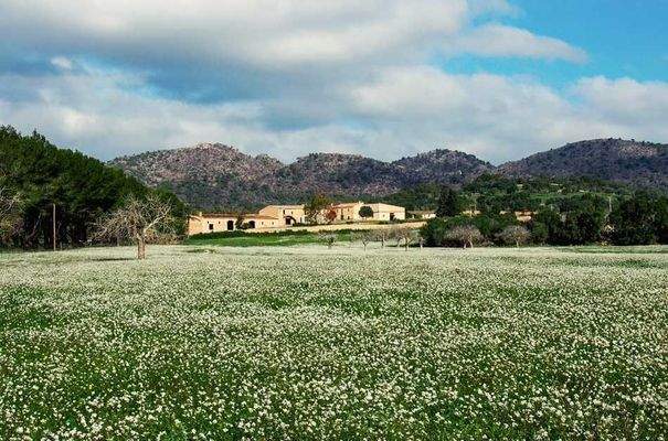 176_01_San Lorenzo_Anwesen_Startbild