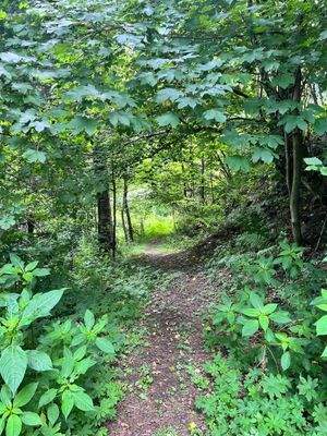 Ulten – Tourismus, Bauen und Gastronomie vereinen sich hier mit einzigartigen Chancen für neue Ideen und ein attraktives Baugrundstück – Ultimo, turismo, costruzioni e gastronomia si incontrano qui con opportunità uniche per nuove idee e un terreno edific