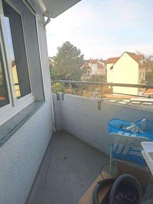 Nachmittags und Abendsonne ,Super  !