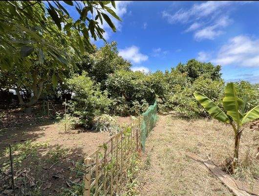 WhatsApp Image 2025-05-01 at 12.22.02 (1).jpeg