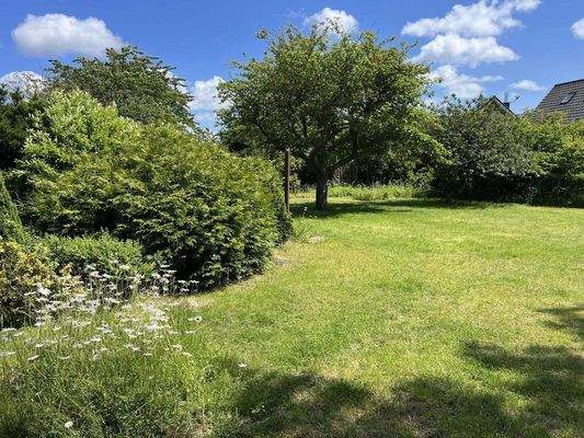 weitläufiger Garten.JPG
