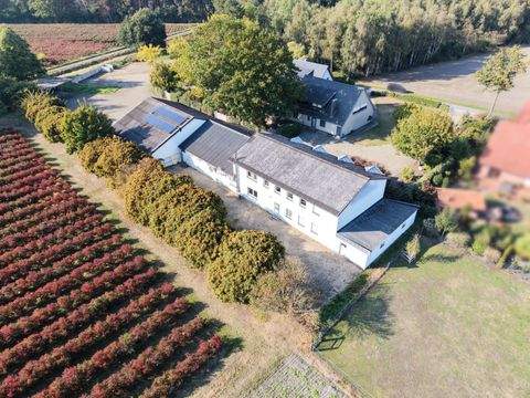 Wagenfeld Häuser, Wagenfeld Haus kaufen