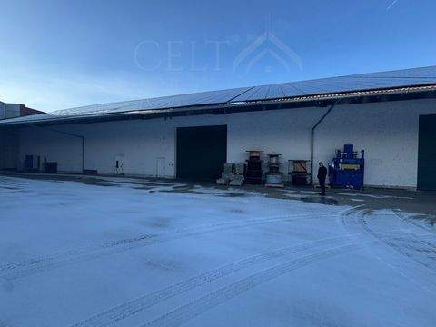 Leiblfing Halle, Leiblfing Hallenfläche