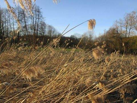 Wörth a. d. Isar Grundstücke, Wörth a. d. Isar Grundstück kaufen