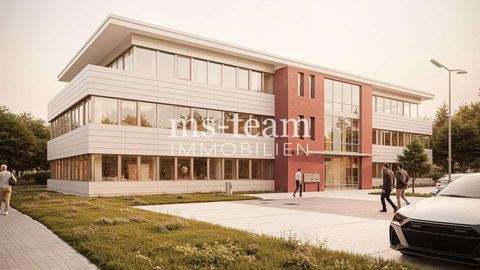 Amberg Büros, Büroräume, Büroflächen 