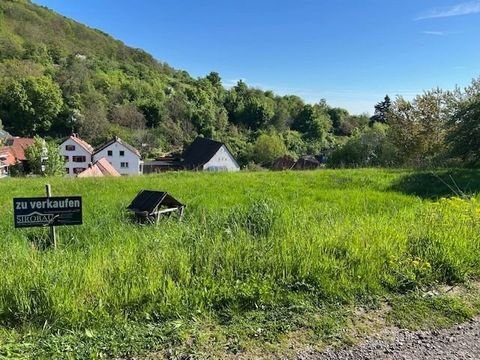 Schweigen-Rechtenbach Grundstücke, Schweigen-Rechtenbach Grundstück kaufen