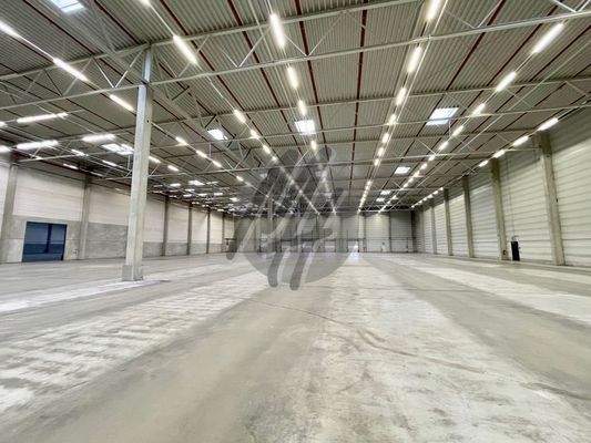 INFOS UNTER: 06171-586000