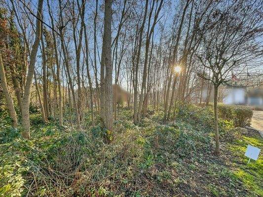 Grundstücksansicht 2