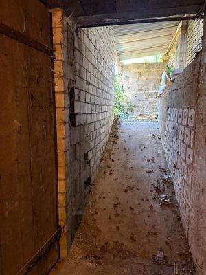 Kelleraufgang zum Garten