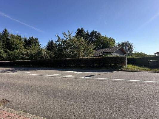 Zufahrt in den Garten