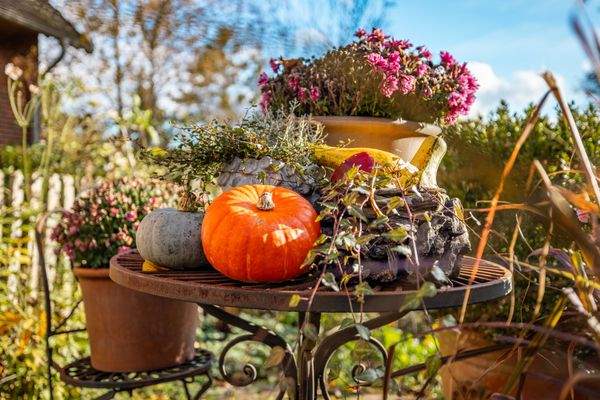 Hofanwesen Impressionen