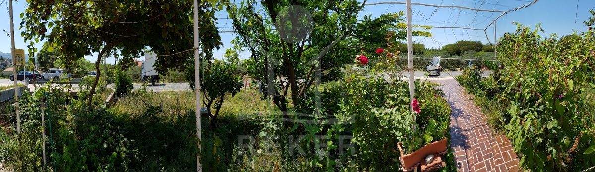 Eine mediterrane Bepflanzung ziert den Garten
