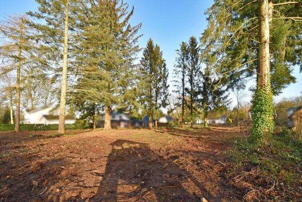 mit guter Ausrichtung