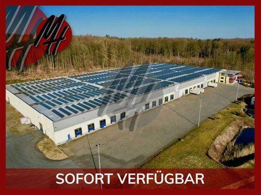 INFOS UNTER: 06171-586000