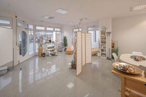 Singen Halle, Singen Hallenfläche