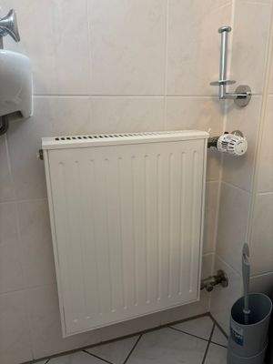 WhatsApp Image 2026-02-19 at 15.36.26 (2)