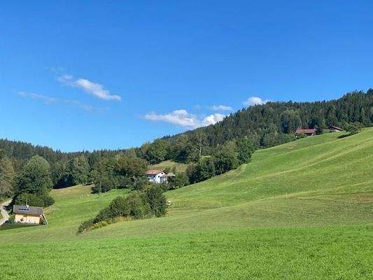 Ruhiges Grundstück in der Natur