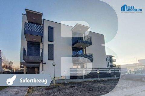 Traun Wohnungen, Traun Wohnung mieten