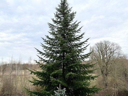 Blick aus dem Fenster