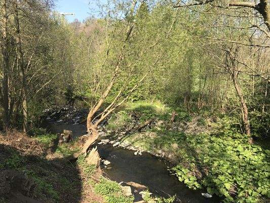 Lauter (verläuft direkt am Grundstück)