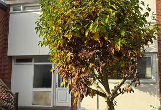 Blick auf den Eingang