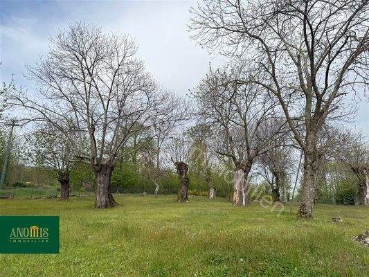 Einfamilienhaus mit 1 Hektar Kastanienwald