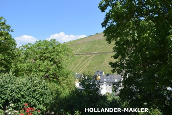 Ausblick 2