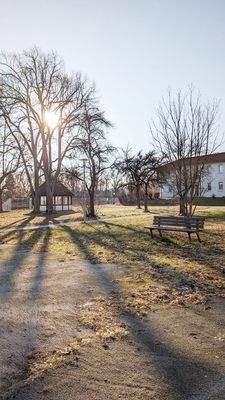 Blick in den Garten2