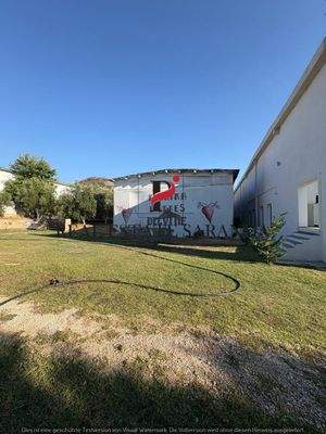 WhatsApp Image 2025-08-27 at 18.00.12.jpeg