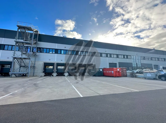 INFOS UNTER: 06171-586000