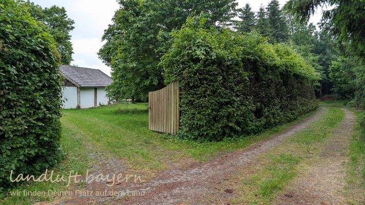 Grundstückseinfahrt und 3,5 m hohe Buchenhecke.jpg