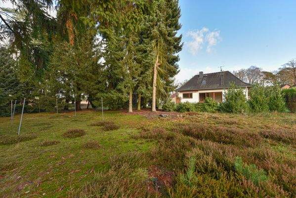 grüne Oase - schattenspendende Bäume & leuchtende Heidepflanzen