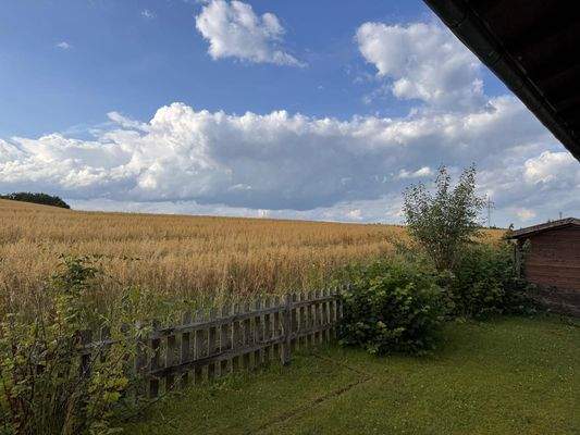 WhatsApp Bild 2025-07-31 um 12.17.23_0fab9288.jpg