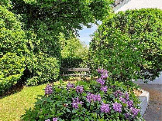 Außenanlage, herrlich begrünt