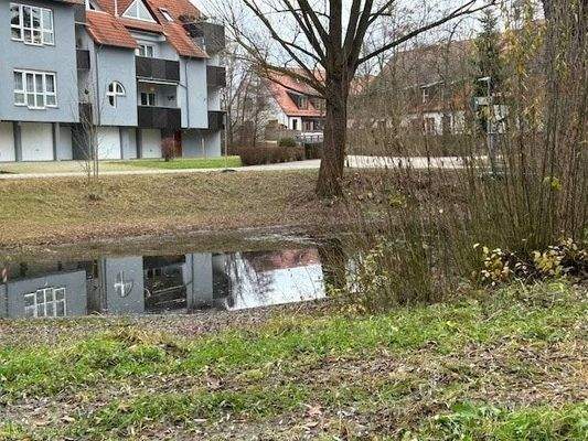 Einziehen und Wohlfühlen!