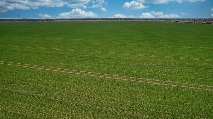 Blick hinten vom Grundstück weg
