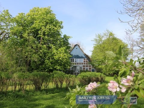 Osten Häuser, Osten Haus kaufen