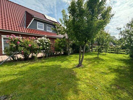 Sicht aus dem Garten