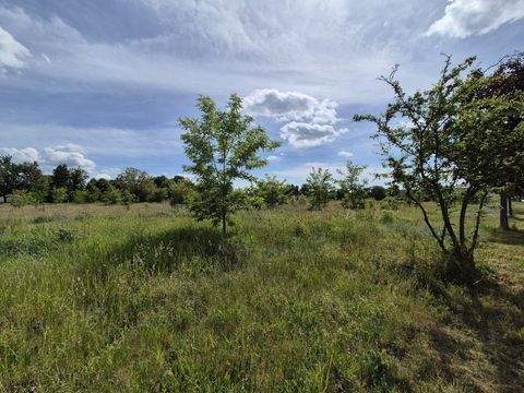 Luckau Grundstücke, Luckau Grundstück kaufen